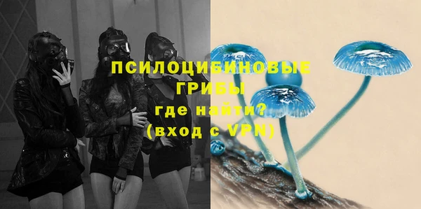 дурь Абаза
