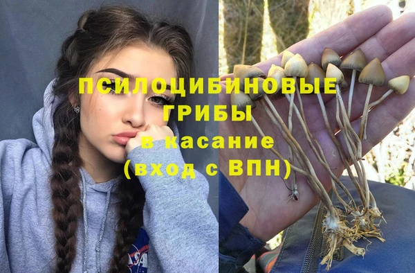 дурь Абаза