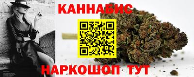 гашик Будённовск