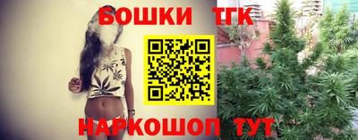 гашик Будённовск
