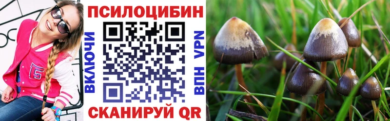 Псилоцибиновые грибы Cubensis Златоуст